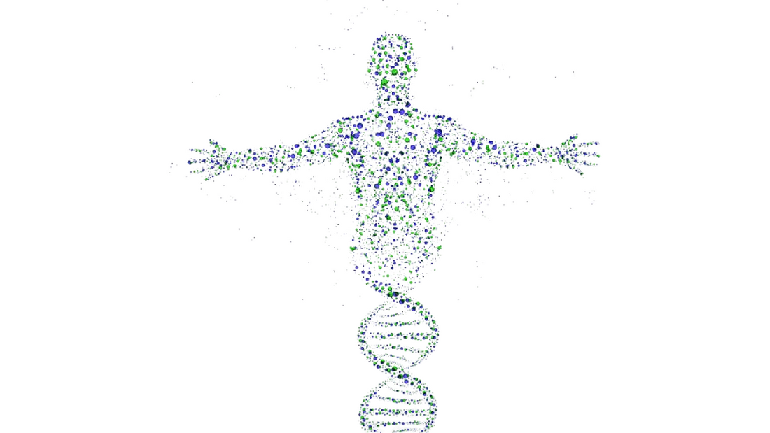 The Biochemistry Of Your Cells