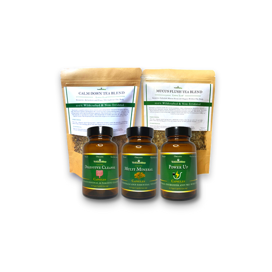 Brain Health Bundle